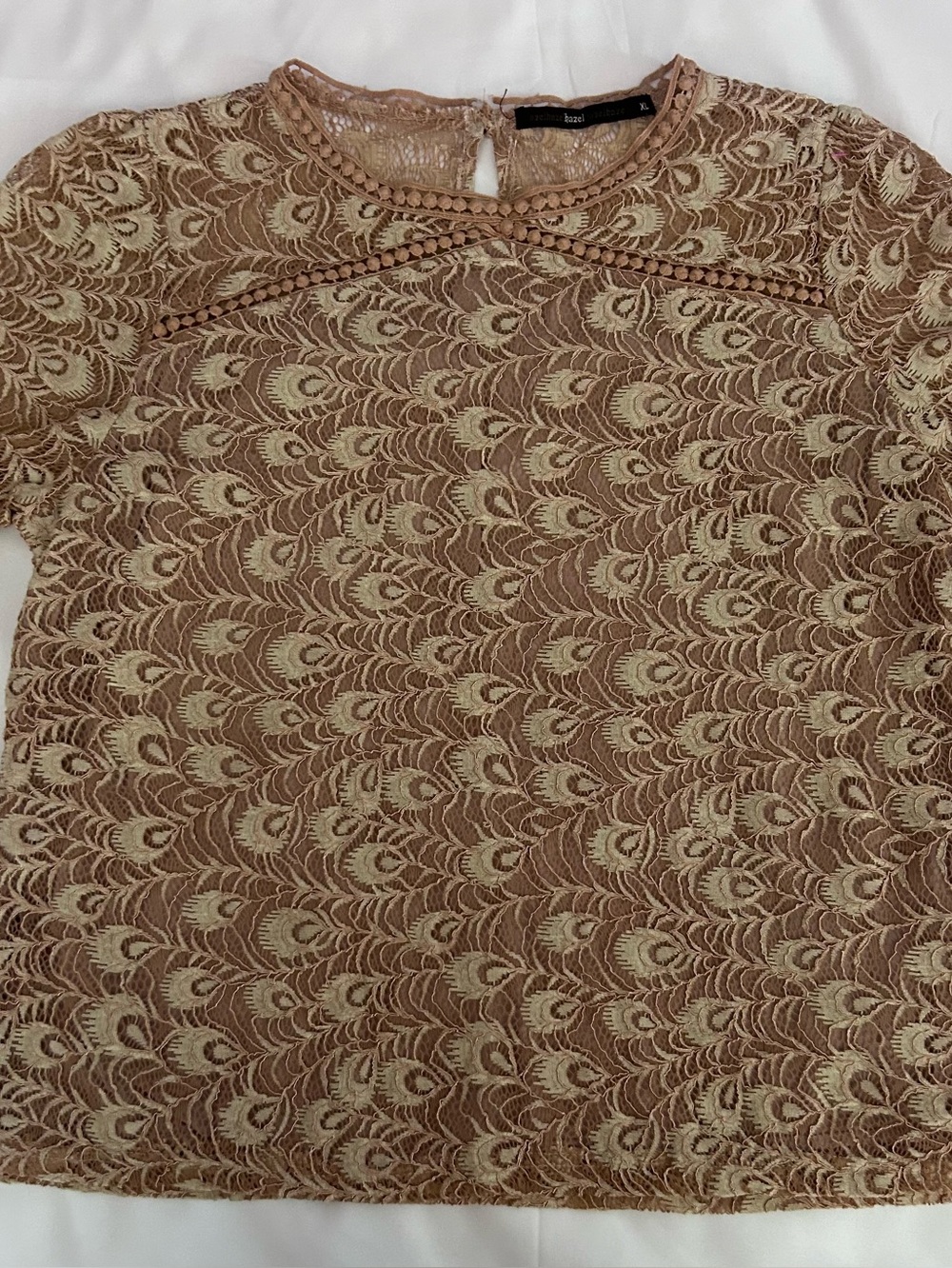 Short Sleeve Brown Blouse By Cactus Hazel With Repeating Peacock Feather Size XL